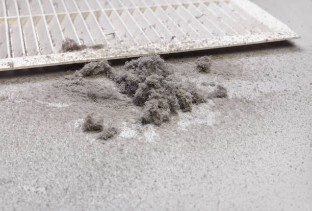 Best Home Air Vent Cleaning  in Cambridge, WI