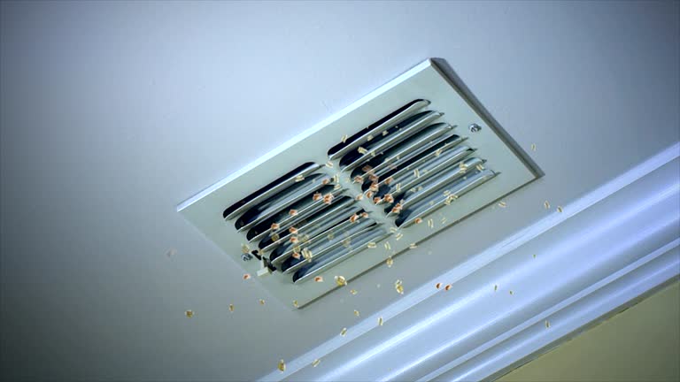 Best HVAC Air Duct Cleaning  in Cambridge, WI